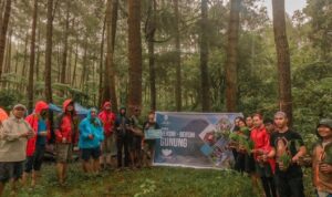 Screenshot_20221029-174154_Gallery