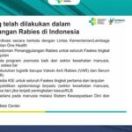 Hingga April 2023 ada 11 Kasus Kematian Karena Rabies, Segera ke Faskes jika Digigit Anjing!