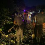 Kapolsek Sangkub Pimpin Pembersihan Pohon Tumbang di Jalan Trans Sulawesi