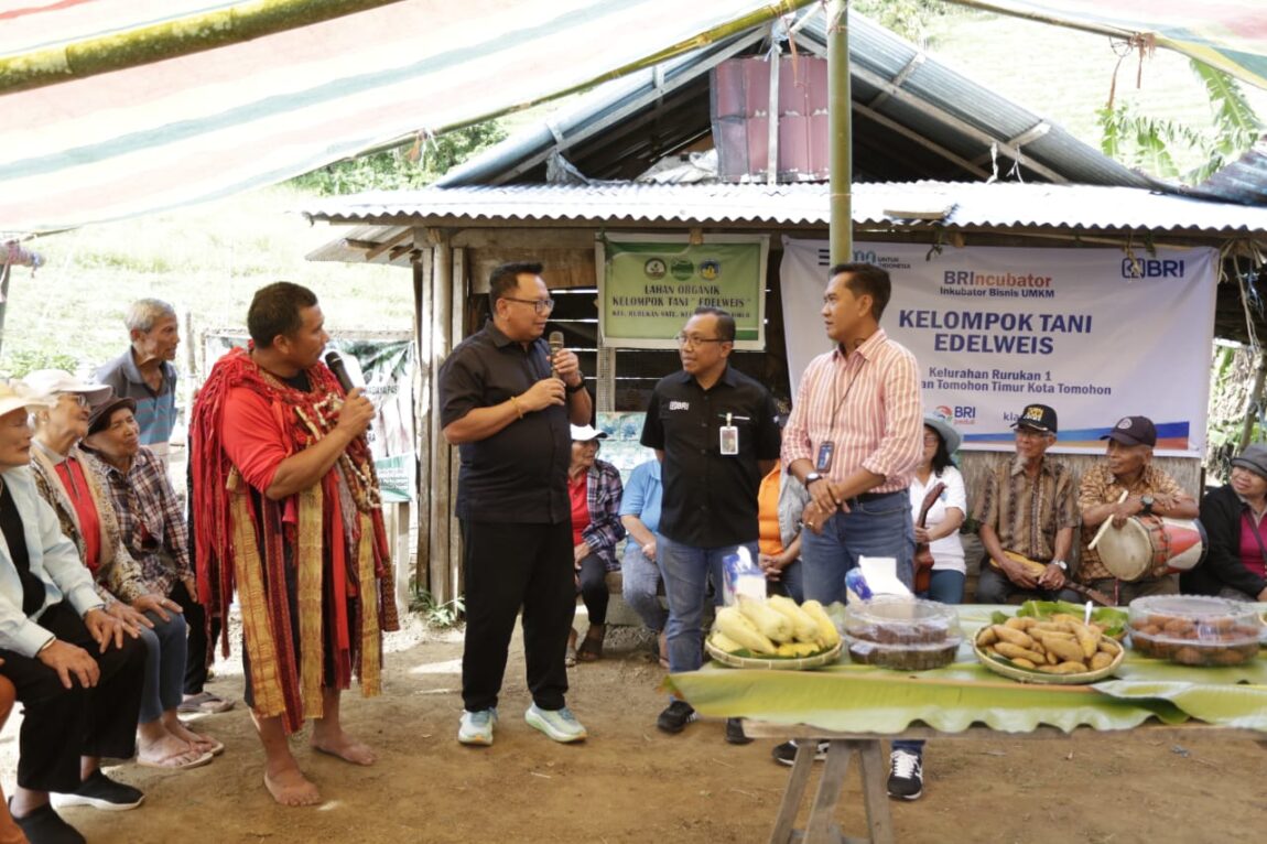 Dewan Komisaris PT Bank Rakyat Indonesia (BRI)