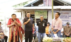 Dewan Komisaris PT Bank Rakyat Indonesia (BRI) mengunjungi salah satu klaster pertanian binaan bank BRI atau Klaster Edelweis melalui BRIncubator (Inkubator Bisnis UMKM) yang ada di Kota Tomohon, Provinsi Sulawesi Utara, pekan lalu.