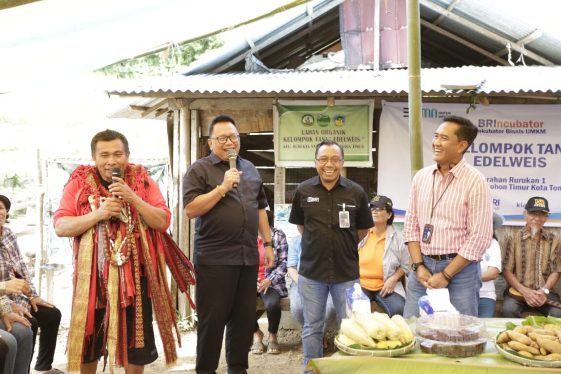 Dewan Komisaris PT Bank Rakyat Indonesia (BRI) mengunjungi salah satu klaster pertanian binaan bank BRI atau Klaster Edelweis melalui BRIncubator (Inkubator Bisnis UMKM) yang ada di Kota Tomohon, Provinsi Sulawesi Utara, pekan lalu.