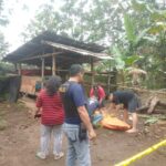 Mayat Pria Ditemukan di Perkebunan Panik