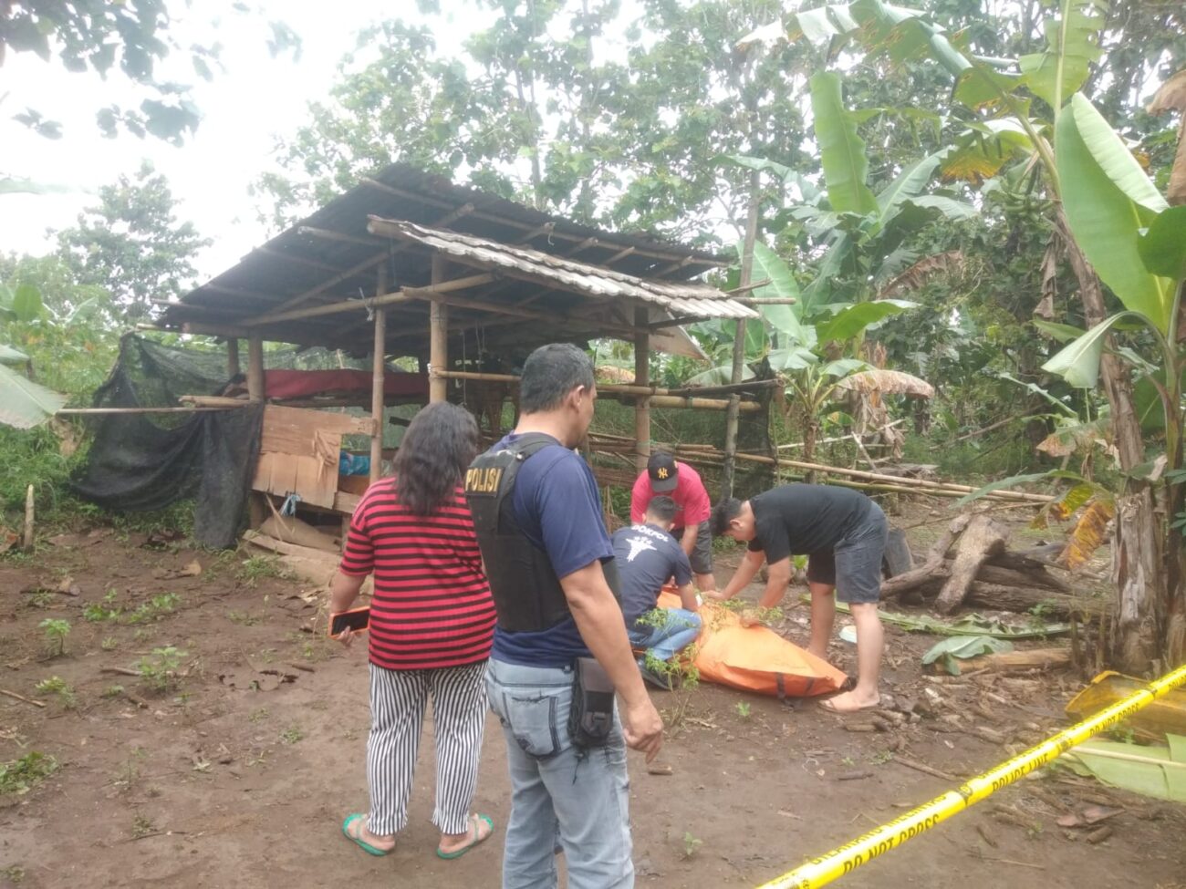 Mayat Pria Ditemukan di Perkebunan Panik
