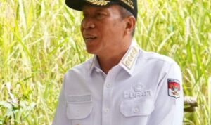 Bupati Minsel Franky Donny Wongkar SH