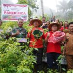 Bupati Minahasa Selatan Franky Donny Wongkar, SH.,  menghadiri kegiatan Panen Rica, di Perkebunan Desa Picuan Baru Kecamatan Motoling, Senin (36/2024).