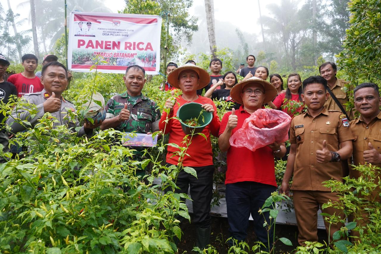 Bupati Minahasa Selatan Franky Donny Wongkar, SH.,  menghadiri kegiatan Panen Rica, di Perkebunan Desa Picuan Baru Kecamatan Motoling, Senin (36/2024).