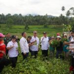 Bupati Minahasa Selatan Franky Donny Wongkar, SH., pada Rabu, 3 Juli 2024 menghadiri kegiatan panen perdana nilam, pembagian bibit nilam, dan penyerahan BLT DD Desa Poopo Utara secara simbolis, bertempat di perkebunan pangian, Desa Poopo, Kecamatan Ranoyapo.