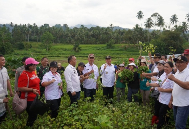 Bupati Minahasa Selatan Franky Donny Wongkar, SH., pada Rabu, 3 Juli 2024 menghadiri kegiatan panen perdana nilam, pembagian bibit nilam, dan penyerahan BLT DD Desa Poopo Utara secara simbolis, bertempat di perkebunan pangian, Desa Poopo, Kecamatan Ranoyapo.