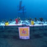 General Manager PT PLN (Persero) Unit Induk Distribusi Sulawesi Utara, Tengah, dan Gorontalo (UID Suluttenggo) Patar Situmorang mengucapkan selamat atas pelantikan pengurus baru Boboca Diving Club periode 2024 – 2026 yang dilaksanakan pada Sabtu (08/06) bertempat di Youth Centre Kawasan Mega Mas Kota Manado.