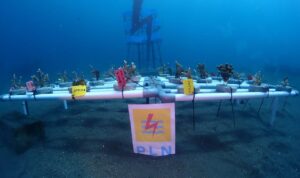 General Manager PT PLN (Persero) Unit Induk Distribusi Sulawesi Utara, Tengah, dan Gorontalo (UID Suluttenggo) Patar Situmorang mengucapkan selamat atas pelantikan pengurus baru Boboca Diving Club periode 2024 – 2026 yang dilaksanakan pada Sabtu (08/06) bertempat di Youth Centre Kawasan Mega Mas Kota Manado.