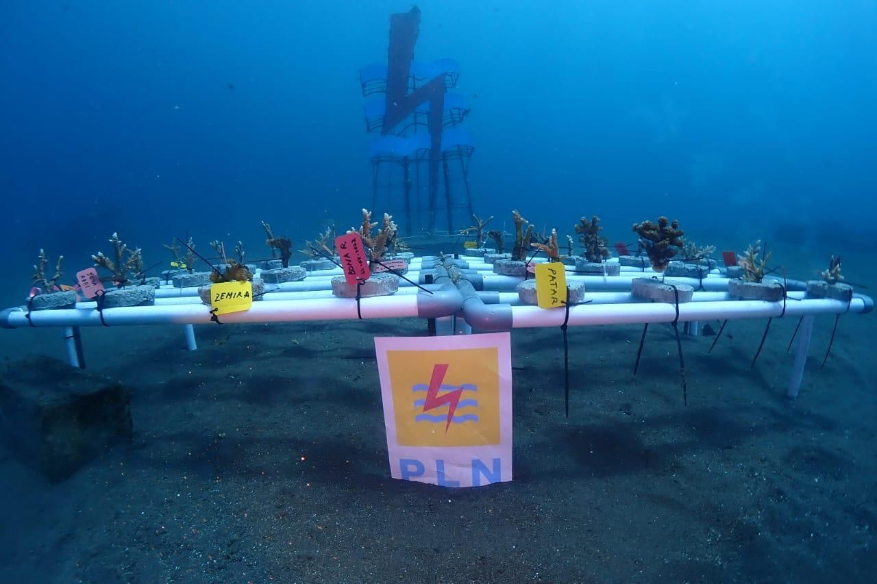 General Manager PT PLN (Persero) Unit Induk Distribusi Sulawesi Utara, Tengah, dan Gorontalo (UID Suluttenggo) Patar Situmorang mengucapkan selamat atas pelantikan pengurus baru Boboca Diving Club periode 2024 – 2026 yang dilaksanakan pada Sabtu (08/06) bertempat di Youth Centre Kawasan Mega Mas Kota Manado.
