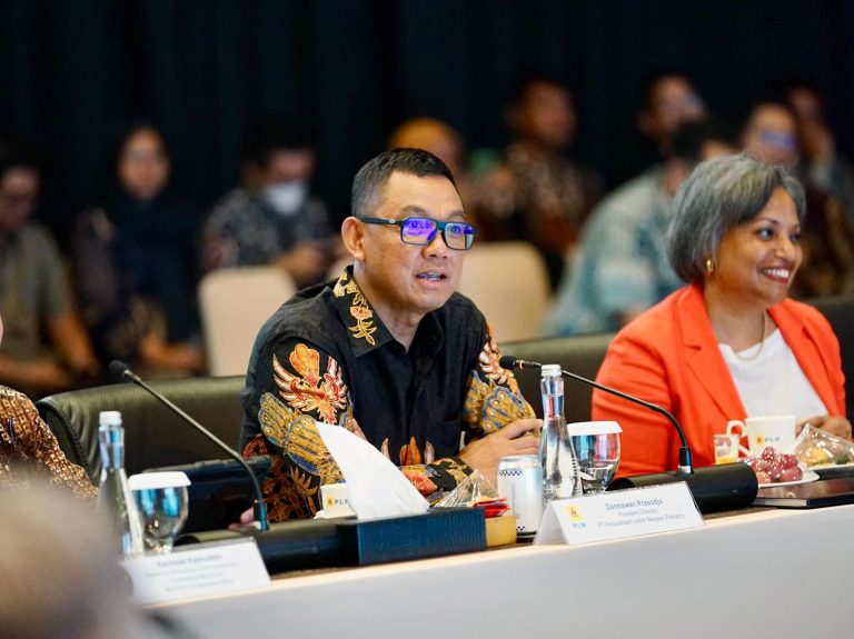 Dukung Dekarbonisasi di Sektor Industri, PLN Siap Suplai Listrik Hijau