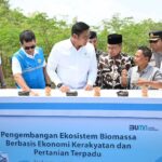 PT PLN Bersama Kementan Luncurkan Model Pertanian Terpadu