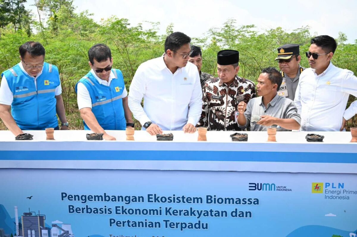 PT PLN Bersama Kementan Luncurkan Model Pertanian Terpadu