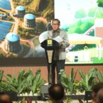 PT PLN Terus Kembangkan Ekosistem Biomassa Berbasis Masyarakat