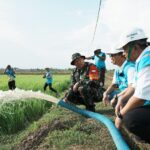 PT PLN Listriki Area Sawah Garapan Kementan-TNI