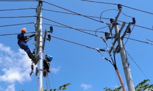 PLN Palu Energize 4 Penyulang GI Tawaeli Perkuat Sistem Kelistrikan