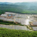 PT PLN Dorong Kolaborasi Global Perkuat Energi Hijau di Tanah Air