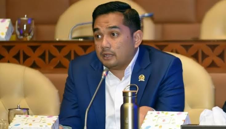 Ketua Komisi II DPR RI, Rifqinizamy Karsayuda