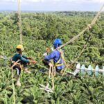 PT PLN Tuntaskan Pembangunan SUTT 150 kV Kendawangan-Sukamara