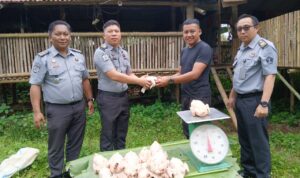 Lembaga Pemasyarakatan (Lapas) Kelas IIB Tondano kembali mencatat keberhasilan dalam program pembinaan kemandirian bagi Warga Binaan Pemasyarakatan (WBP) dengan sukses menggelar panen ayam daging, Senin (17/2).