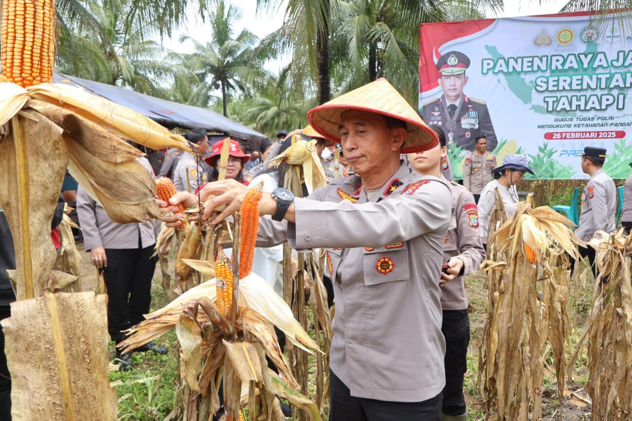 Wakapolda Sulawesi Utara (Sulut) Brigjen Pol Bahagia Dachi memimpin panen raya jagung, di area perkebunan Balai Palma, Kelurahan Paniki Dua, Kecamatan Mapanget, Kota Manado, pada Rabu (26/2/2025) pagi.
