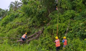 Cuaca Ekstrem Melanda Sulut dan Gorontalo, PLN Suluttenggo Gercep Pulihkan Sistem Kelistrikan