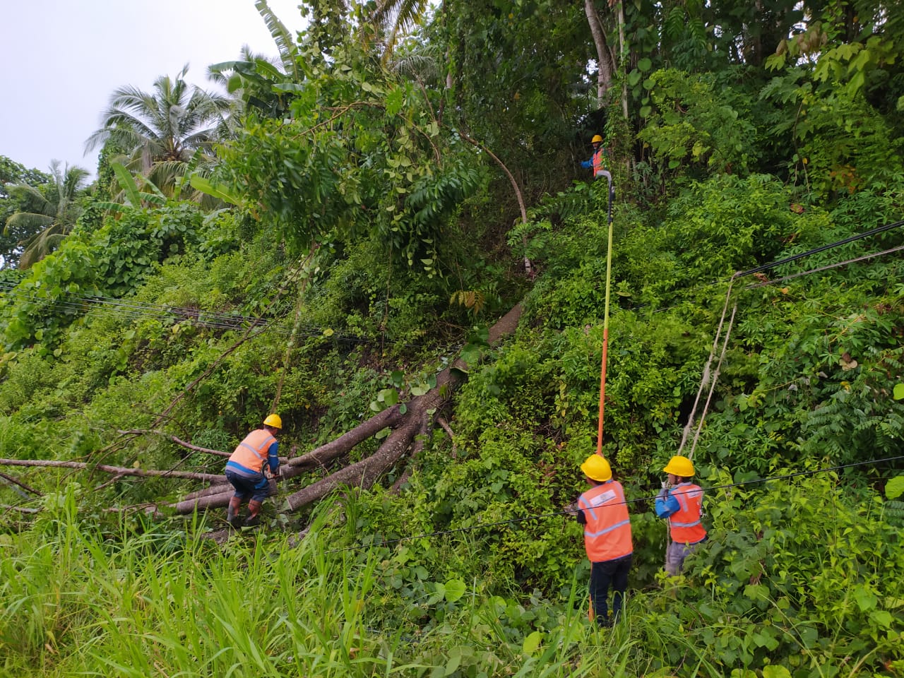 Cuaca Ekstrem Melanda Sulut dan Gorontalo, PLN Suluttenggo Gercep Pulihkan Sistem Kelistrikan