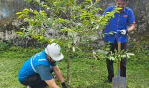 PLN Unit Pelaksana Pelayanan Pelanggan (UP3) Kotamobagu melaksanakan kegiatan penanaman pohon,dalam rangka memperingati Bulan Keselamatan dan Kesehatan Kerja (K3) Nasional. 