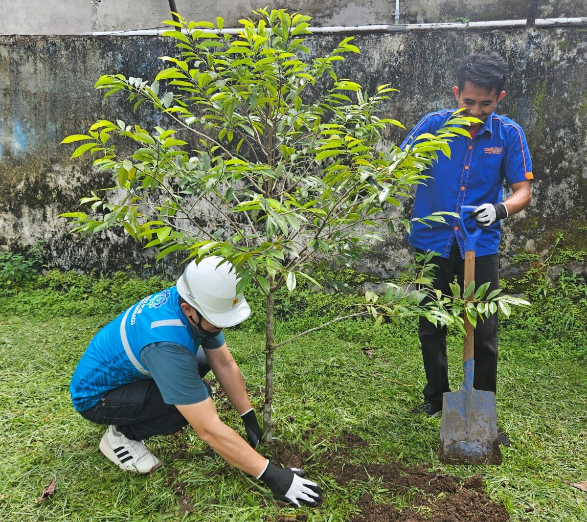 PLN Unit Pelaksana Pelayanan Pelanggan (UP3) Kotamobagu melaksanakan kegiatan penanaman pohon,dalam rangka memperingati Bulan Keselamatan dan Kesehatan Kerja (K3) Nasional. 
