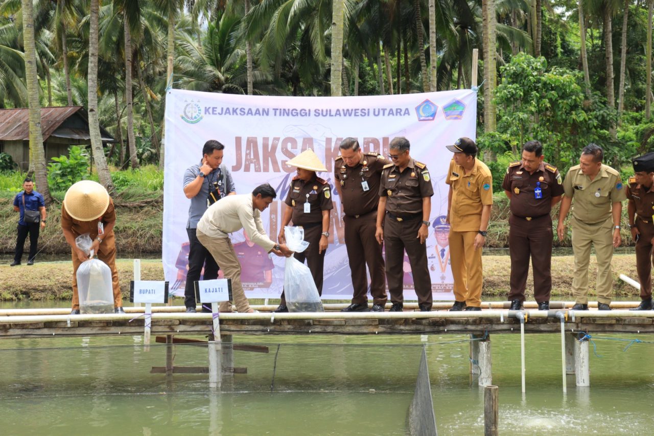 Kejati, Kejaksaan Tinggi Sulawesi Utara (Sulut) melucurkan program ‘Jaksa Sahabat Tani‘ bertempat di Desa Tumaluntung Kecamatan Kauditan Kabupaten Minahasa Utara (Minut), Selasa (25/2/2025).