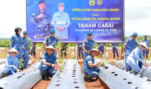 Kasau, Kepala Staf Angkatan Udara  Marsekal TNI M. Tonny Harjono, S.E., M.M., didampingi Ketua Umum PIA Ardhya Garini Ny. Isa M. Tonny Harjono, melaksanakan penanaman bibit cabai rawit Zahra dan jagung Lamuru di Lahan 48 Pangkalan TNI Angkatan Udara (Lanud) El Tari, Kupang, Selasa (25/2/2025).