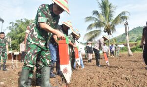 Danrem 133/Nani Wartabone, Brigjen TNI Hari Pahlawantoro, S.Sos., menghadiri acara penanaman bersama padi gogo dan jagung (tumpang sari) di lahan pertanian Komando Distrik Militer (Kodim) 1316/Boalemo. Sabtu (8/3/2025).