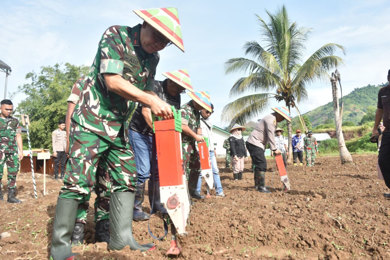 Danrem 133/Nani Wartabone, Brigjen TNI Hari Pahlawantoro, S.Sos., menghadiri acara penanaman bersama padi gogo dan jagung (tumpang sari) di lahan pertanian Komando Distrik Militer (Kodim) 1316/Boalemo. Sabtu (8/3/2025).