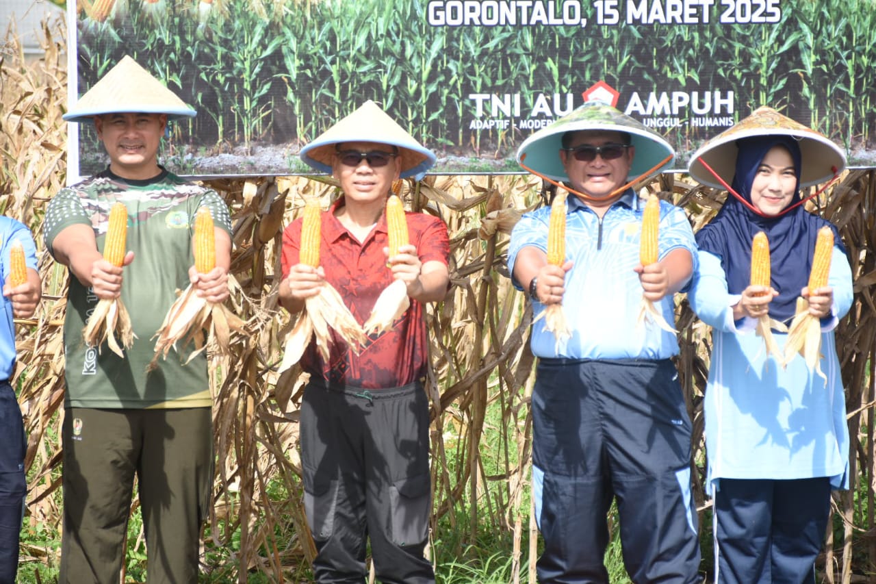 Danrem 133/Nani Wartabone Brigjen TNI Hari Pahlawantoro, S.Sos., menghadiri kegiatan panen jagung yang diselenggarakan oleh Pangkalan TNI Angkatan Udara (Lanud) Sam Ratulangi, di lahan jagung Tanah milik TNI AU Lanud Sam Ratulangi, Desa Dunggala Kecamatan Tibawa Kabupaten Gorontalo. Sabtu (15/03/2025).