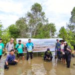 PLN UP3 Palu melalui PLN Unit Layanan Pelanggan Kolonodale melaksanakan aksi penanaman 500 bibit mangrove di pesisir Teluk Tomori, tepatnya di Desa Matube, Morowali Utara, pada Selasa (10/06).