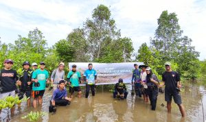PLN UP3 Palu melalui PLN Unit Layanan Pelanggan Kolonodale melaksanakan aksi penanaman 500 bibit mangrove di pesisir Teluk Tomori, tepatnya di Desa Matube, Morowali Utara, pada Selasa (10/06).