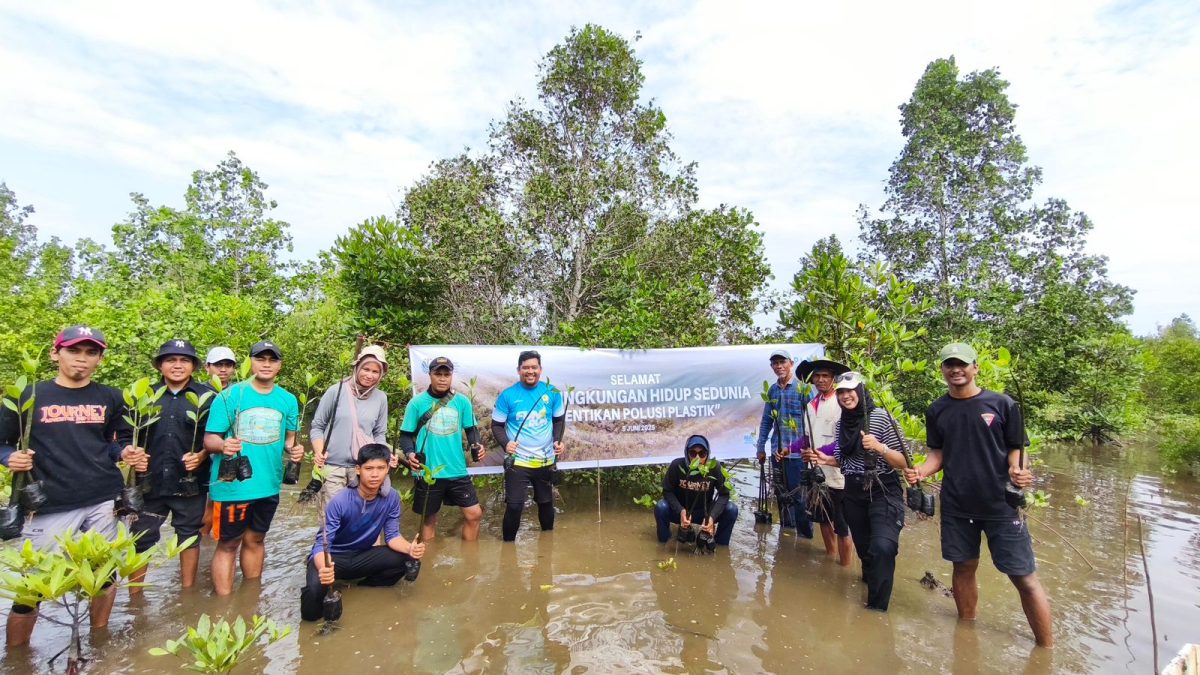 PLN UP3 Palu melalui PLN Unit Layanan Pelanggan Kolonodale melaksanakan aksi penanaman 500 bibit mangrove di pesisir Teluk Tomori, tepatnya di Desa Matube, Morowali Utara, pada Selasa (10/06).