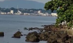 Pemerintah Provinsi Sulawesi Utara (Pemprov Sulut) dan Pemerintah Kota (Pemkot) Manado menyatakan dukungan penuh terhadap proyek reklamasi Pantai Malalayang.