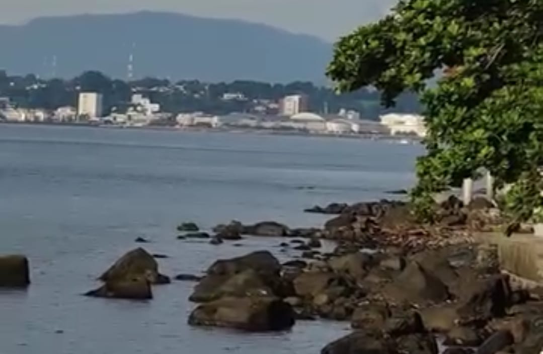 Pemerintah Provinsi Sulawesi Utara (Pemprov Sulut) dan Pemerintah Kota (Pemkot) Manado menyatakan dukungan penuh terhadap proyek reklamasi Pantai Malalayang.