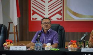 Ketua BULD DPD RI, Ir. Stefanus B.A.N. Liow