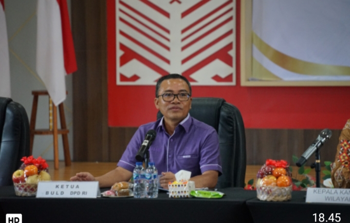 Ketua BULD DPD RI, Ir. Stefanus B.A.N. Liow