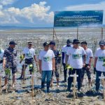 PLN UP3 Tolitoli Kolaborasi Tanam 5.000 Pohon Mangrove