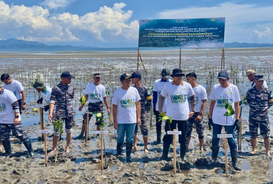 PLN UP3 Tolitoli Kolaborasi Tanam 5.000 Pohon Mangrove