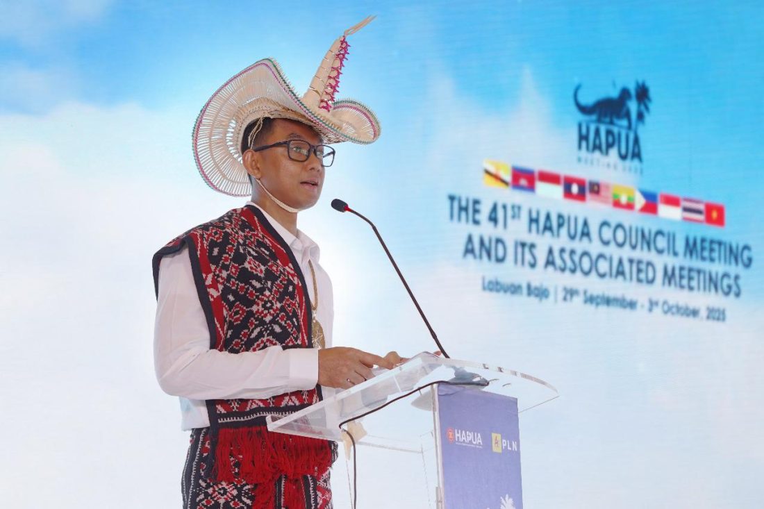 Direktur Utama PLN, Darmawan Prasodjo