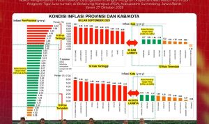 Pemkab Minsel Pemerintah Kabupaten Minahasa Selatan