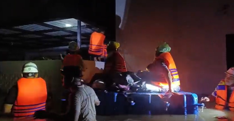 PT PLN Nusantara Power