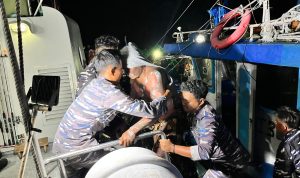 Kodaeral VIII Kodaeral VIII