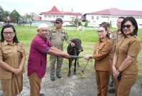 Pemerintah Kabupaten (Pemkab) Minahasa menyalurkan dalam rangka perayaan Hari Raya Idul Adha 1447 Hijriah 2026, yang berlangsung di Lapangan Belakang Kantor Bupati Minahasa, pada Senin (25/5/2026.